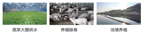 1706080274174752E814.png image.png